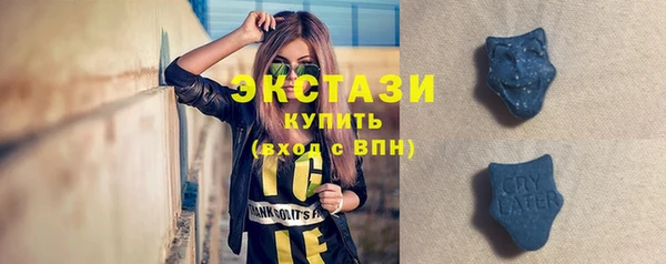 шишки Бородино