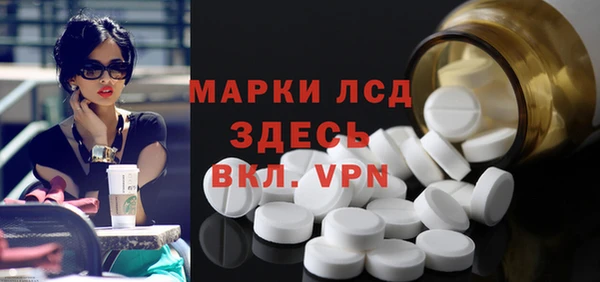 шишки Бородино