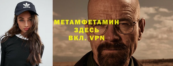 шишки Бородино