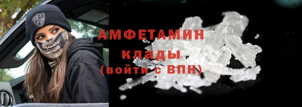 шишки Бородино