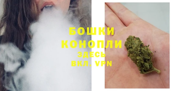 МДПВ Бронницы