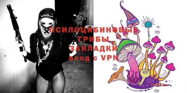 шишки Бородино