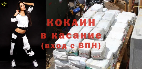 шишки Бородино