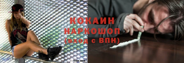 шишки Бородино
