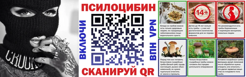 где купить наркоту  Новозыбков  Галлюциногенные грибы MAGIC MUSHROOMS 