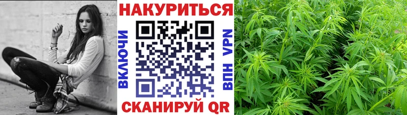 Бошки Шишки семена наркошоп Новозыбков
